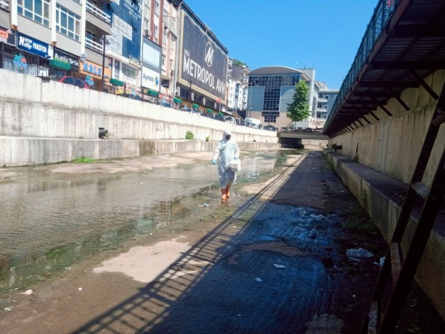 Sivrisineklere karşı ilaçlama başladı.