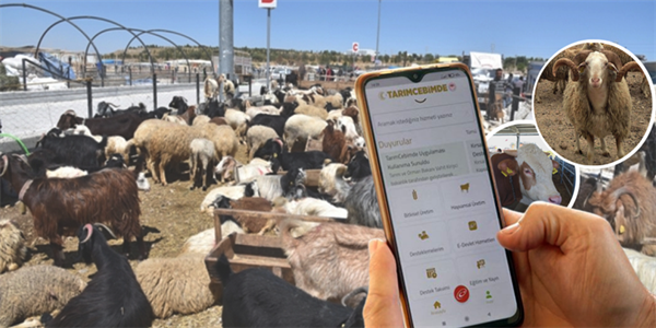 Mobil uygulaması üzerinden sorgulayın.