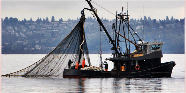 Sahiplerine 4,1 milyon lira ödeme yapıldı.