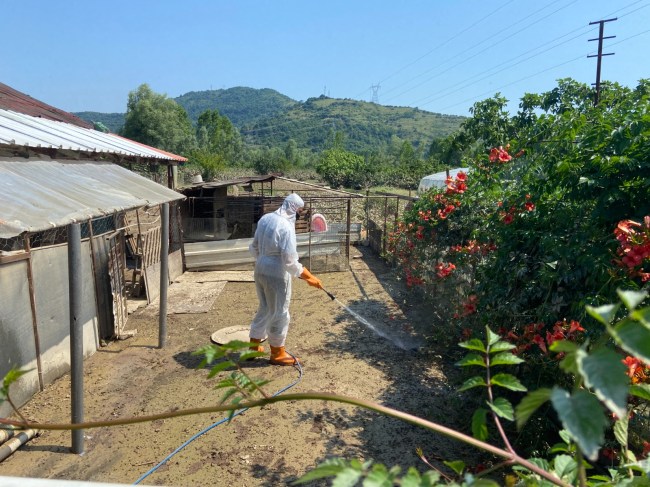 Belediye bölgede ilaçlama ve dezenfeksiyon çalışmaları yapılıyor.