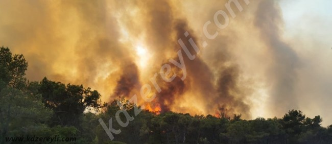 Muğla Milas'ta ki yangın yazlıkçıları korkuttu.