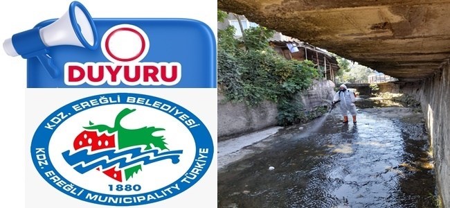 İlçemizde sivrisinekle mücadele devam ediyor.