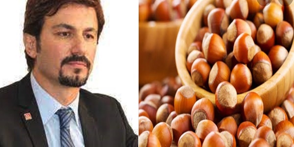 Milletvekili Ertuğrul'dan Fındık fiyatlarına tepki geldi.