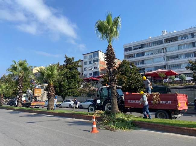 31 Mahallede çalışmalar devam ediyor.