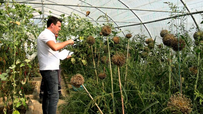 Yerel tohum projesini önemsiyoruz.
