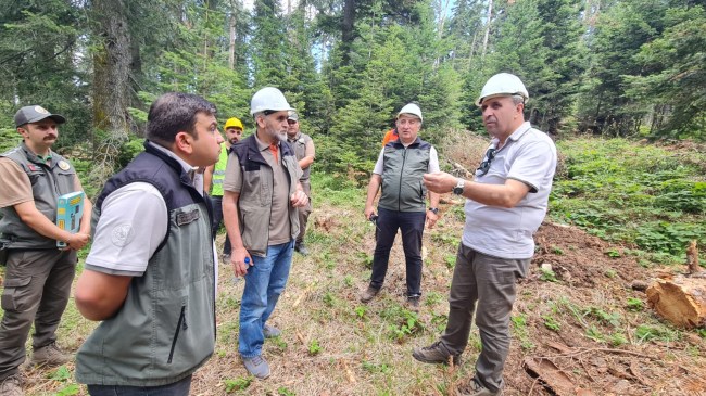 Ormanlarımız, hayat, sağlık, mutluluk ve huzurdur.