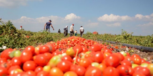 Dolu Hasarı Yapay Zeka ile Tespit Edilecek