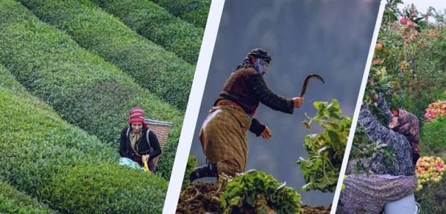 Alın terleriyle üretimimize daima güç katan kadınlarımız.