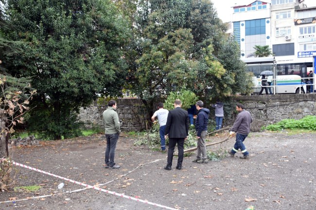Eski kaymakamlık binası alanında temizlik çalışması yapılıyor.