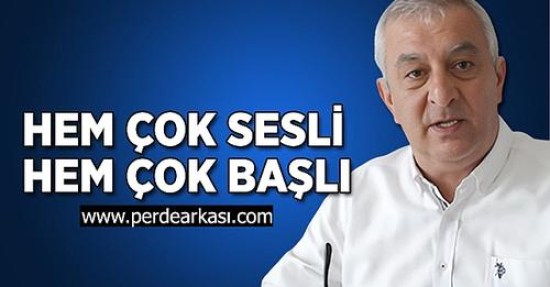 Hem çok sesli Hem çok başlı