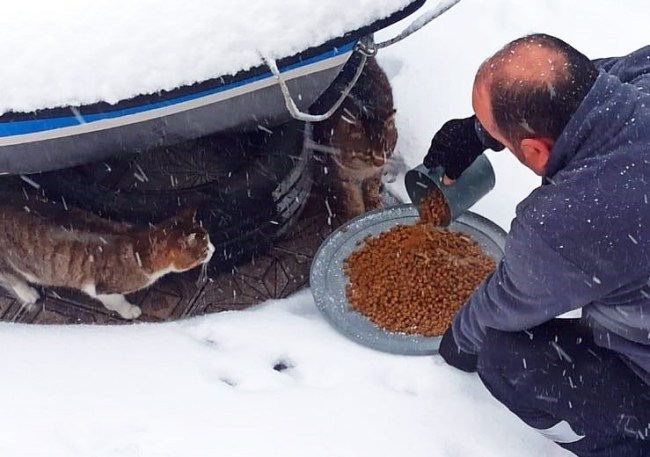 Kdz. Ereğli Belediyesi sokaktaki canları unutmuyor