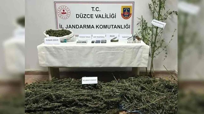 Uyuşturucu operasyonu: 2 gözaltı
