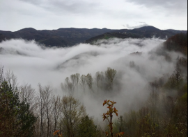 Küre dağları ekolojik kırım tehditi altında