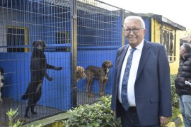 Ereğli belediyesi sokak hayvanları barınma evinin kapasitesini artırıyor