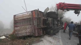 Boluda canlı tavuk yüklü kamyonun virajda devrilmesi sonucu 4 kişi yaralandı.